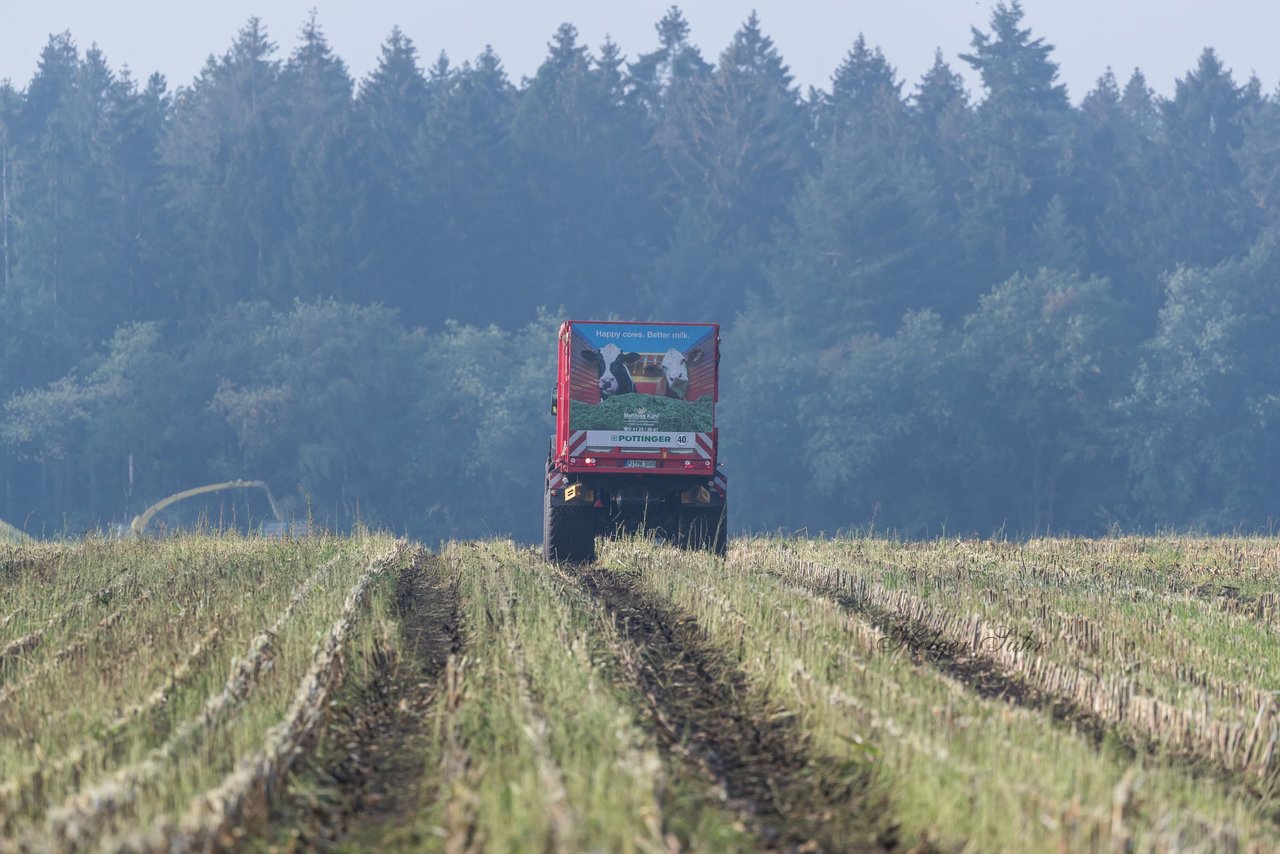 Bild 133 - Maisernte